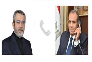 رایزنی تلفنی سرپرست وزارت خارجه ایران با وزیر خارجه مصر