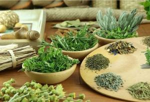 تولید گیاهان دارویی در استان هرمزگان به ۹ هزار تن رسید