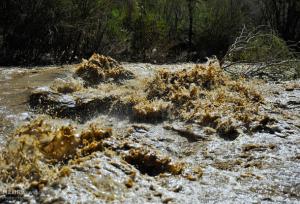 وضعیت رودخانه گز در شهرستان سیریک