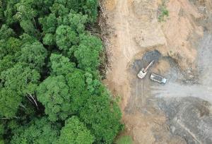 جنگل‌داری روی کاغذ، جنگل‌خواری در اجرا!