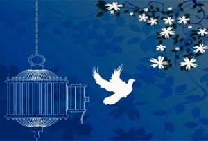 آزادی یک محکوم به قصاص نفس پس از ۸ سال در بهشهر