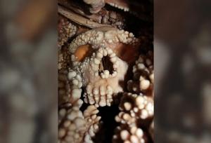 فاش شدن راز انسان‌هایی با جمجمه ۱۳۰ هزار ساله