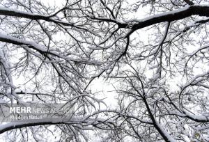 تعطیلی نوبت صبح مدارس سلفچگان، خلجستان و قاهان در روز شنبه ۲۹ آذرماه