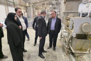 مدیرعامل صندوق حمایت از سرمایه‌گذاری صنایع کوچک: صنایع کوچک نقش کلیدی در اقتصاد کشور دارند