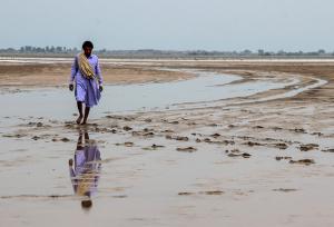 آبگیری تالاب جازموریان در پی بارندگی‌های اخیر