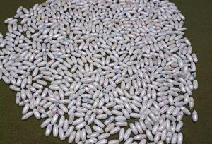 محمدآبادی: بیش از ۳ کیلو مواد مخدر در بجستان کشف شد