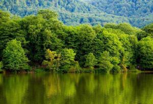 شناسایی منبع پنهان آب در جنگل‌های شمال 