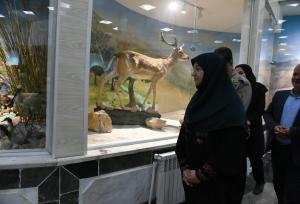 موزه‌های تاریخ طبیعی نقش مهمی در ارتقای آگاهی عمومی دارد