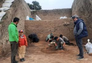 شکفتن دانه برنج ۳۰۰۰ ساله از کاوش لایه نگاری محوطه باستانی قلعه‌کِش آمل