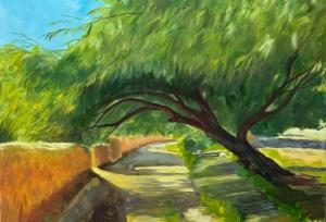 «رست»؛ روایتی از طبیعت