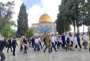 تداوم یورش شهرک نشینان صهیونیست به مسجدالاقصی