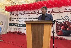 جشنواره انار؛ پیوند مهارت تولیدکنندگان با چشم‌انداز گردشگری شهرضا