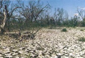 راهکارهای موثر در تامین امنیت آب پایدار