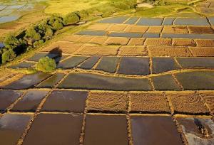 آشتاب: ۴۵۰ پلاک در سامانه سحاک کرمانشاه تعیین تکلیف شد