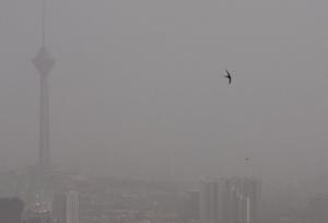 آلودگی هوا رکورد زد، مدارس باز شد!