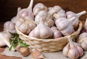 بررسی ادعای لاغری با سیر خام ناشتا