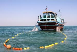 فرماندار: فرهنگ‌سازی تنها راه جلوگیری از صیدهای آسیب‌زا در سواحل جاسک است