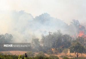 مهار دو کانون حریق جنگلی در گالیکش با حضور سریع نیروهای حفاظتی و مردم