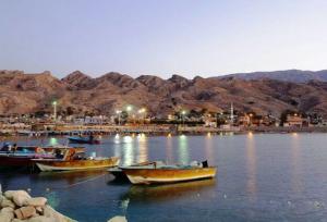 پرونده بندر سیراف به یونسکو فرستاده شد