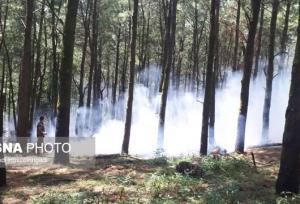 حریق دوهکتاری در جنگل های آستارا مهار شد