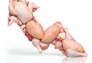 قیمت مرغ با سود متعارف چقدر باید باشد؟