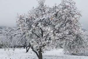 نخستین بارش پاییزی یزد در طزرجان ثبت شد