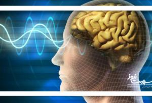 مغز از این حرکات شما متنفر است