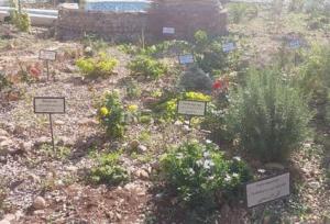 مرکز حفظ ذخایر ژنتیکی گیاهی و چوبی در استان ایلام راه‌اندازی شد