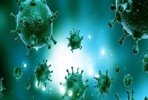 رحمانی:۱۰ تا ۱۲ درصد از موارد نمونه‌گیری آنفلوآنزا در کردستان مثبت است