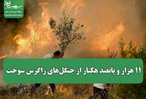 ۱۱ هزار و پانصد هکتار از جنگل‌های زاگرس سوخت