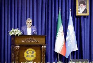 کمالوندی: براساس ان‌پی‌تی حق استفاده از فناوری هسته‌ای داریم