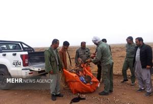 جمع‌آوری بیش از ۷۰ تله زنده‌گیری پرندگان در خاش و تفتان