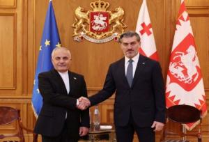 سفیر ایران در پایان ماموریت خود با رئیس‌جمهور گرجستان دیدار کرد