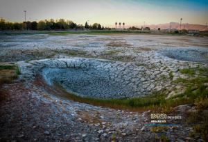 مرگِ نیلوفر کرمانشاه، زیبایی‌ای که خاموش شد