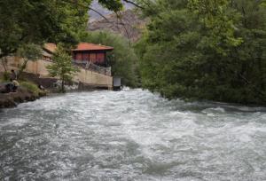 تشکیل ۱۸ فقره پرونده تصرف بستر و حریم رودخانه های شهرستان نور