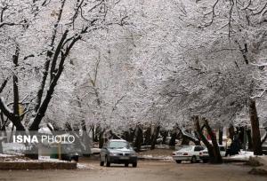 جزئیات سامانه بارشی قوی در کهگیلویه و بویراحمد