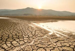 جهان تشنه است