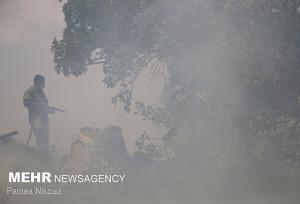 آتش سوزی در منطقه ری زمین جاده چالوس/ بالگرد اعزام شد