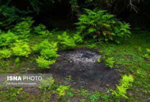 رئیس مؤسسه تحقیقات خاک و آب کشور: کاهش حاصلخیزی خاک ایران نگران‌کننده است