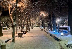 هم اکنون بارش برف در گردنه اسدلی