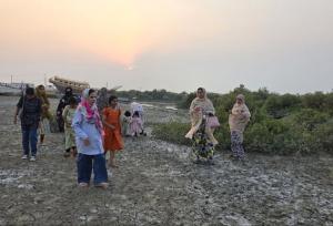 توسعه جنگل حرا در روستای گردشگری جزیره قشم