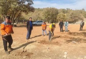 آغاز رسمی طرح ساماندهی سگ‌های ولگرد در پارک جنگلی یاسوج