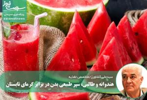 هندوانه و طالبی، سپر طبیعی بدن در برابر گرمای تابستان