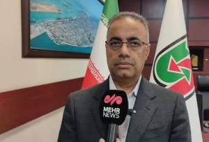 رستمی: ۸۰ پروژه راهداری دهه فجر در استان بوشهر افتتاح یا اجرا می شود