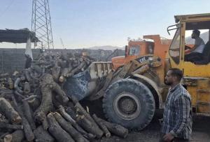 کشف ۲۵ تن هیزم و ۱۱ تن زغال از قاچاقچیان چوب در کازرون