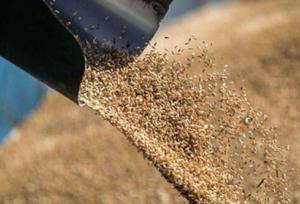 رئیس سازمان جهاد کشاورزی استان: سهمیه نهاده دامی اختصاص یافته به عشایر خراسان شمالی کفاف نیاز را نمی‌دهد