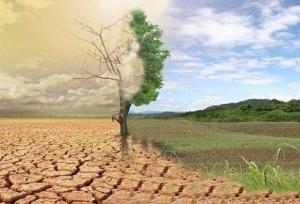 راهی به‌سوی رهایی از گمراهی