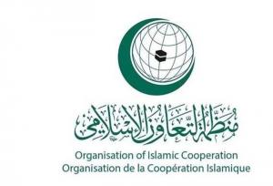 سازمان همکاری اسلامی حمله رژیم صهیونیستی به سوریه را محکوم کرد