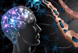 ام‌ اس، بیماری‌ با ردپای پررنگ‌تر در دامن زنان