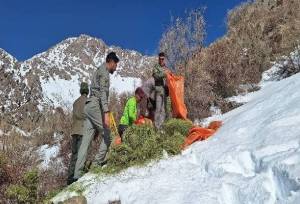 آغاز علوفه دهی به کل و بزهای وحشی در پارک ملی دنا